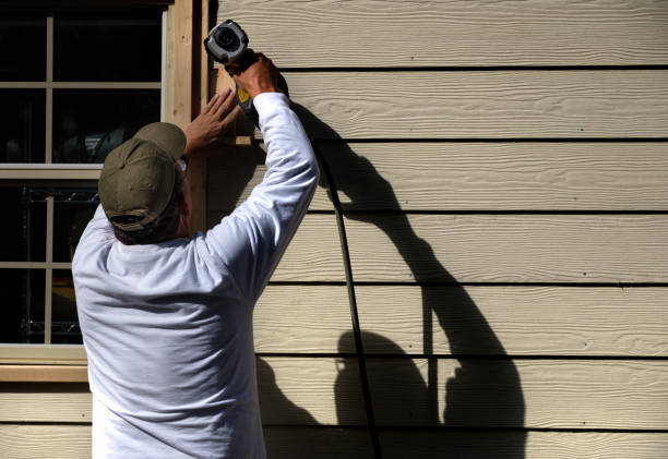 Best Siding Painting and Refinishing  in Alexandria, MN